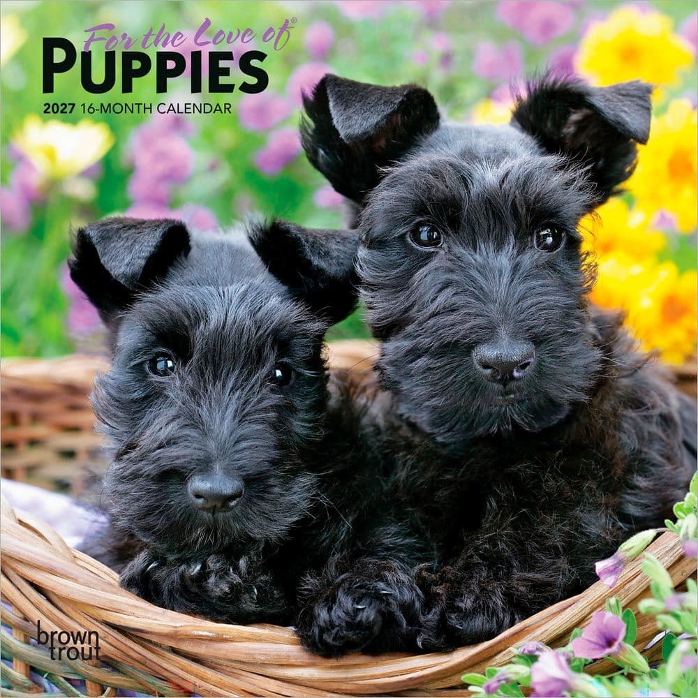 For the Love Puppies 2027 Mini Wall Calendar Main Product Image
