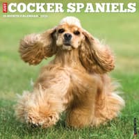 image Just Cocker Spaniels 2026 Wall Calendar Main Image