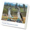 image Audubon Birds 2026 Desk Calendar