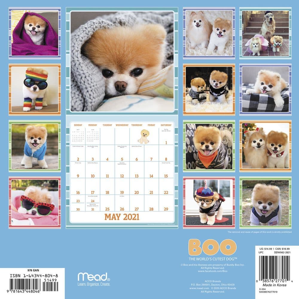 Calendar APR 2021 boo the dog calendar 2021