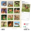 image Boxers International Wall 2024 Desk Calendar First Alternate Image width=&quot;1000&quot; height=&quot;1000&quot;