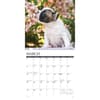 image Just French Bulldog Puppies 2026 Wall Calendar Second Alternate Image
