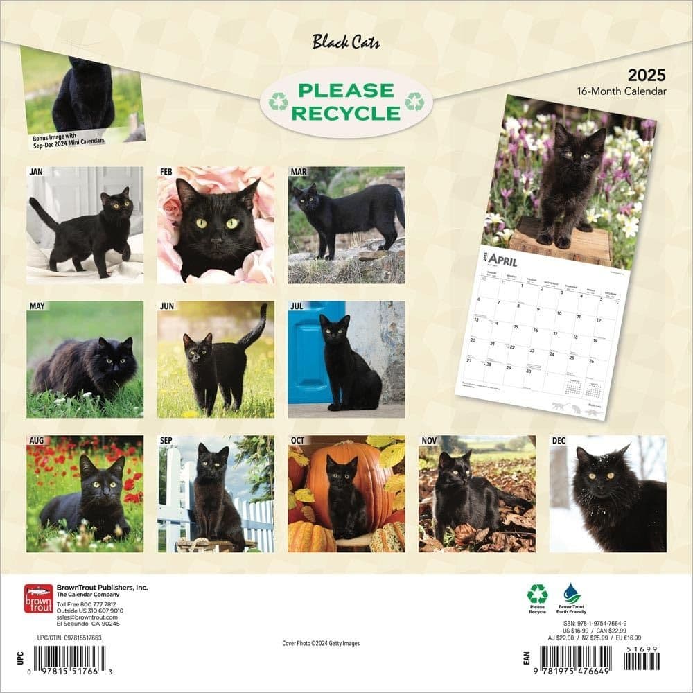 black-cats-2025-wall-calendar-calendars-com