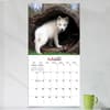 image Baby Animals 2025 Wall Calendar Third Alternate Image width=&quot;1000&quot; height=&quot;1000&quot;