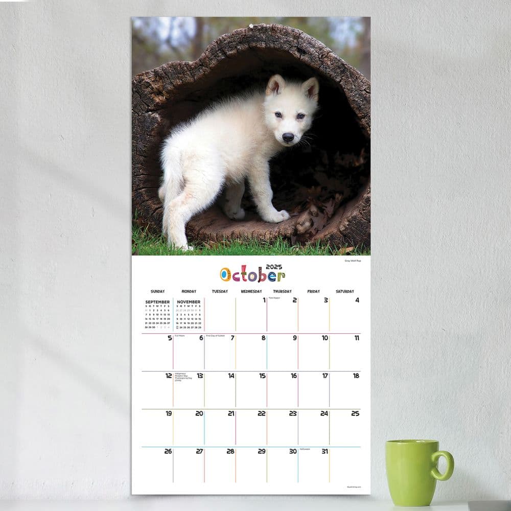 Baby Animals 2025 Wall Calendar Third Alternate Image width=&quot;1000&quot; height=&quot;1000&quot;