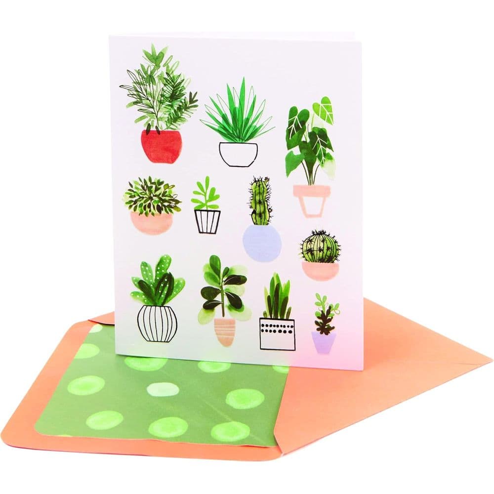 Potted Plants Boxed Note Cards Second Alternate Image