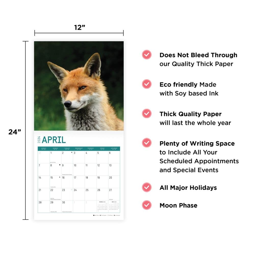 Foxes 2024 Wall Calendar Seventh Alternate Image width=&quot;1000&quot; height=&quot;1000&quot;