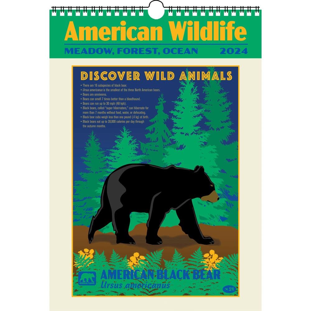 American Wildlife Poster 2024 Wall Calendar Main Product Image width=&quot;1000&quot; height=&quot;1000&quot;