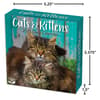 image Cats And Kittens 2025 Desk Calendar