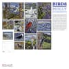 image Birds 2026 Wall Calendar by Molly Hashimoto First Alternate Image