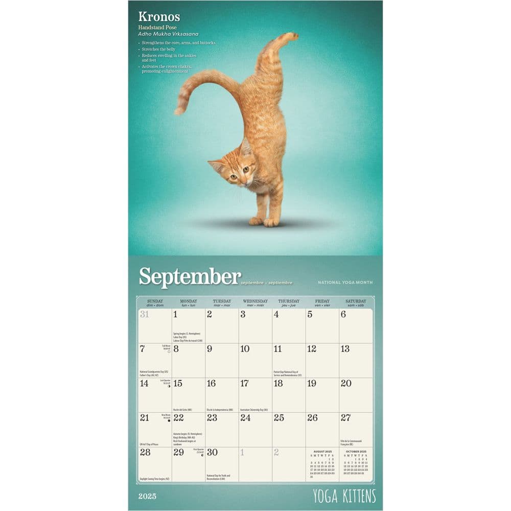 Yoga Kittens 2025 Mini Wall Calendar Second Alternate  Image width=&quot;1000&quot; height=&quot;1000&quot;