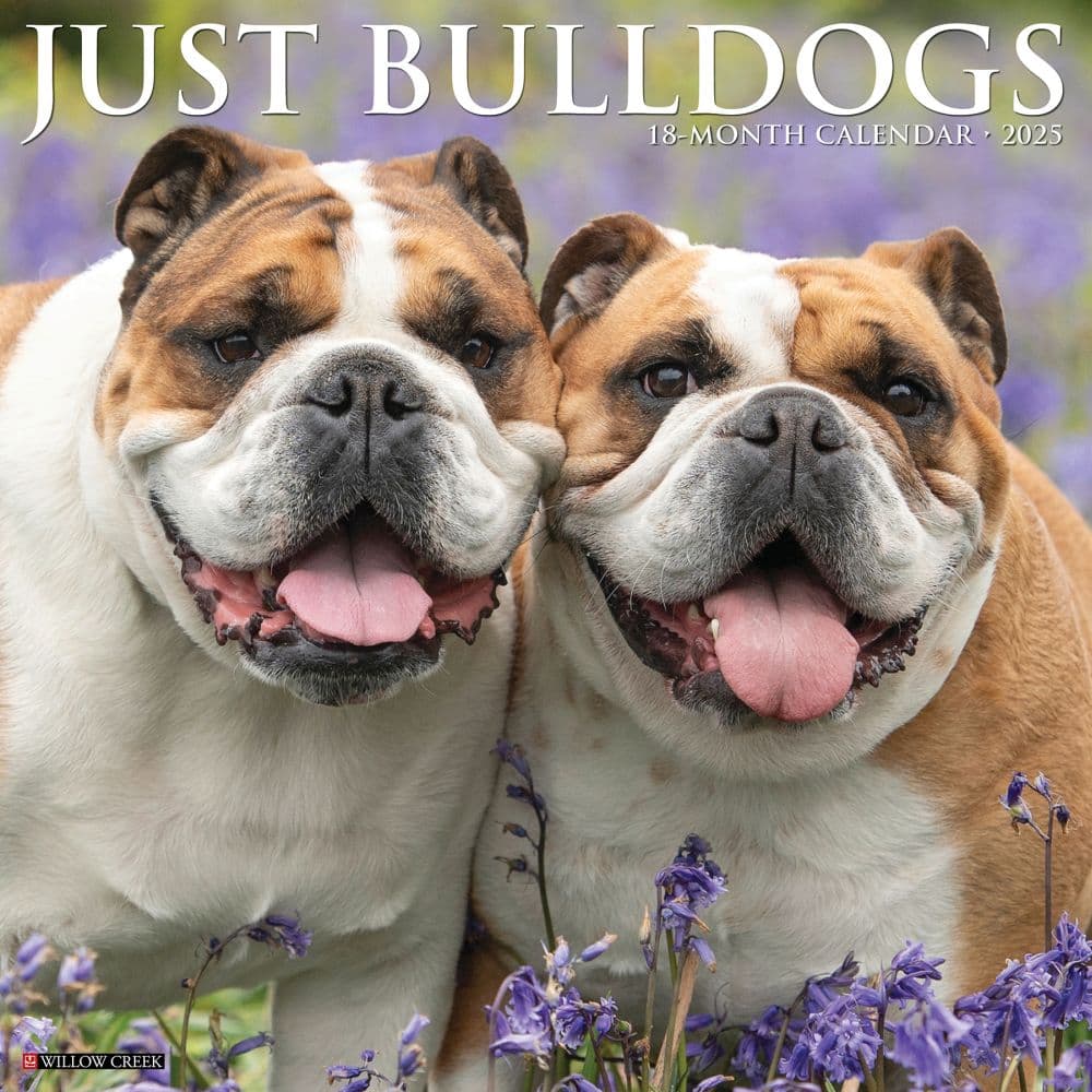 Just Bulldogs 2025 Wall Calendar