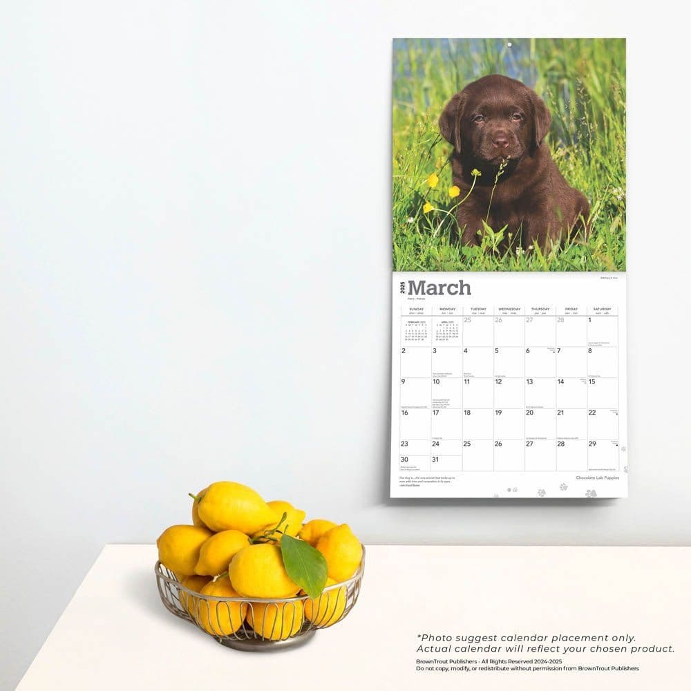 Chocolate Lab Retriever Puppies 2025 Wall Calendar Fourth Alternate Image