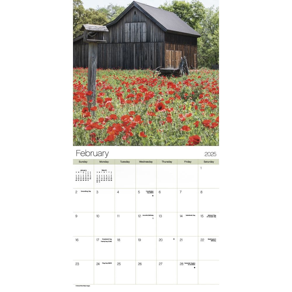 Texas Wildflowers 2025 Wall Calendar Alt2