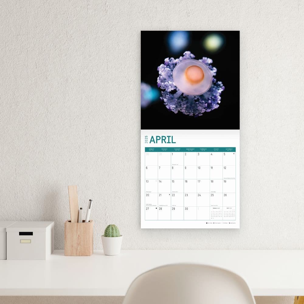 Jellyfish 2025 Wall Calendar Third Alternate Image width="1000" height="1000"