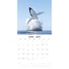 image Whales 2027 Wall Calendar Second Alternate Image