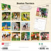 image Boston Terriers 2027 Wall Calendar First Alternate Image
