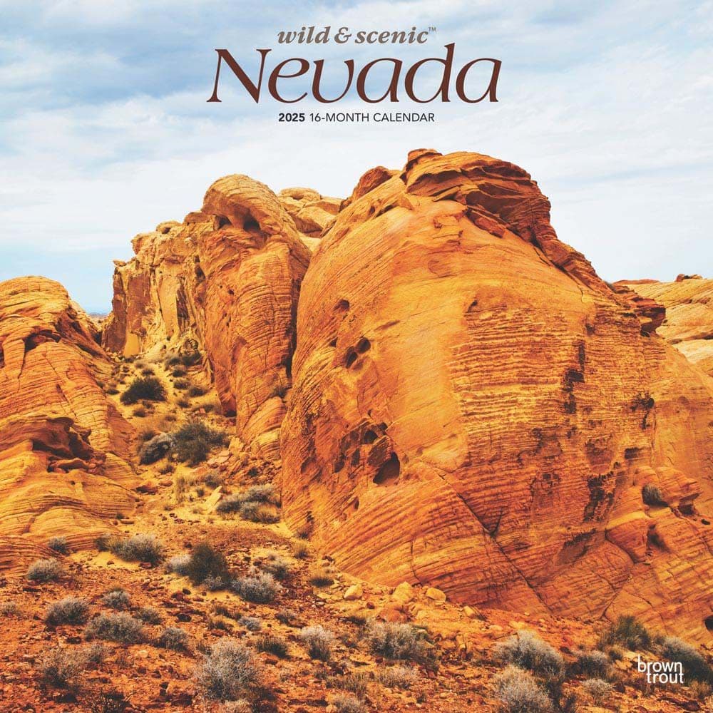 Nevada Wild and Scenic 2025 Wall Calendar Main Product Image width=&quot;1000&quot; height=&quot;1000&quot;