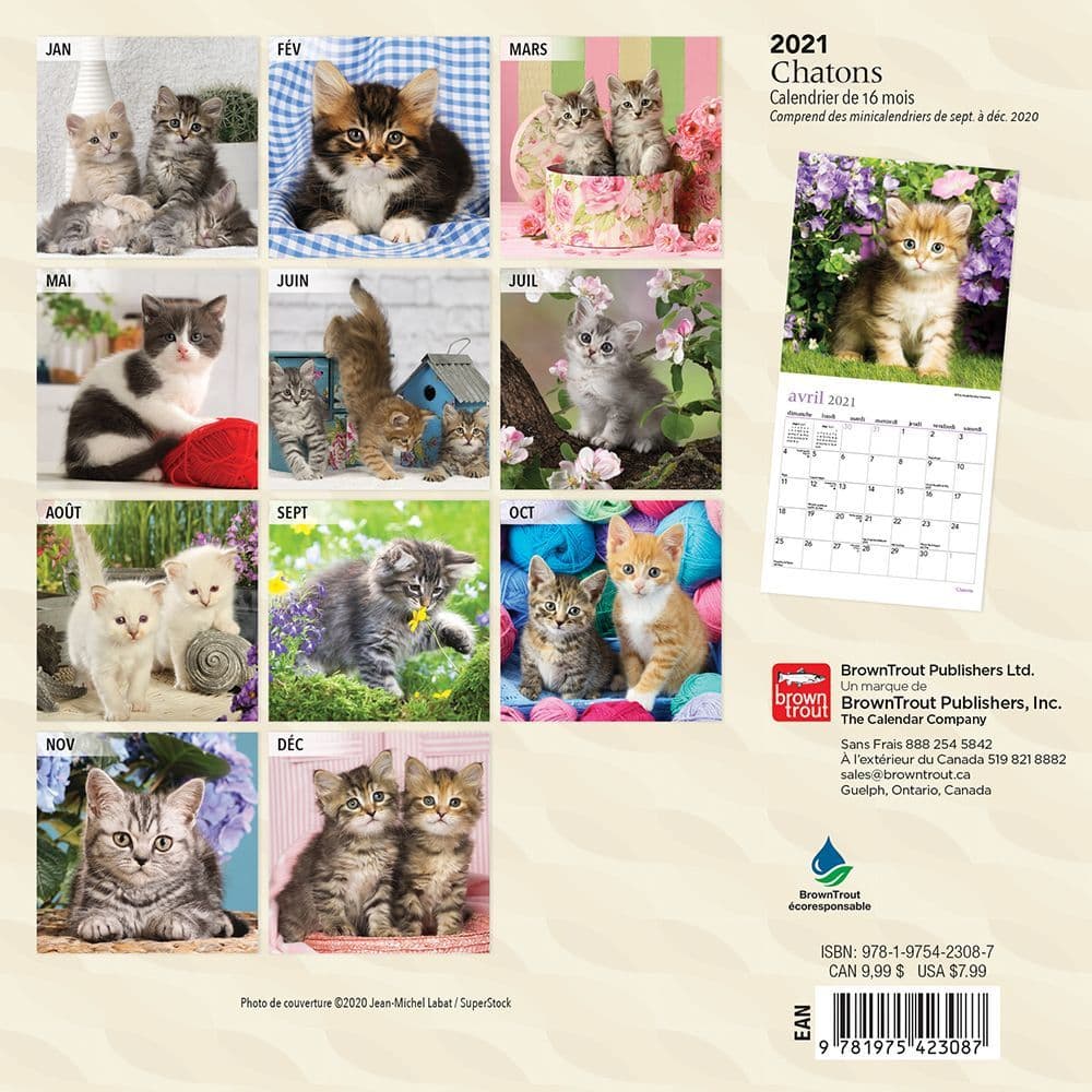 Calendrier Chatons 2023 Chatons Kittens Mini Wall Calendar (French) - Calendars.com