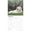 image Great Pyrenees 2025 Wall Calendar Second Alternate Image width=&quot;1000&quot; height=&quot;1000&quot;