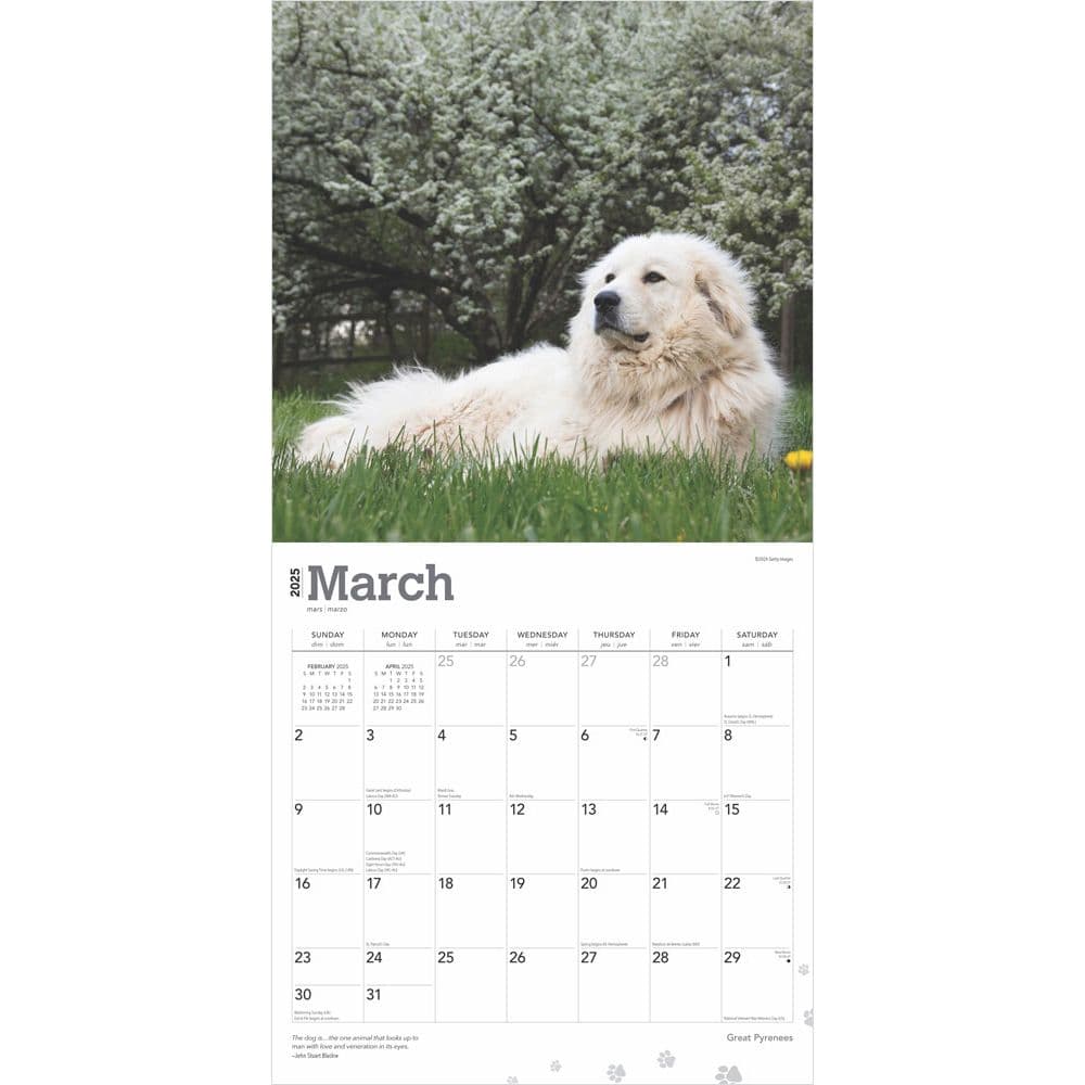 Great Pyrenees 2025 Wall Calendar