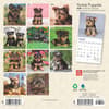 image Yorkshire Terrier Puppies 2025 Mini Wall Calendar First Alternate Image width=&quot;1000&quot; height=&quot;1000&quot;