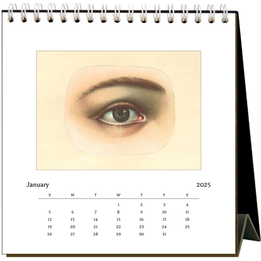 Anatomy 2025 Easel Desk Calendar Second Alternate Image width="1000" height="1000"