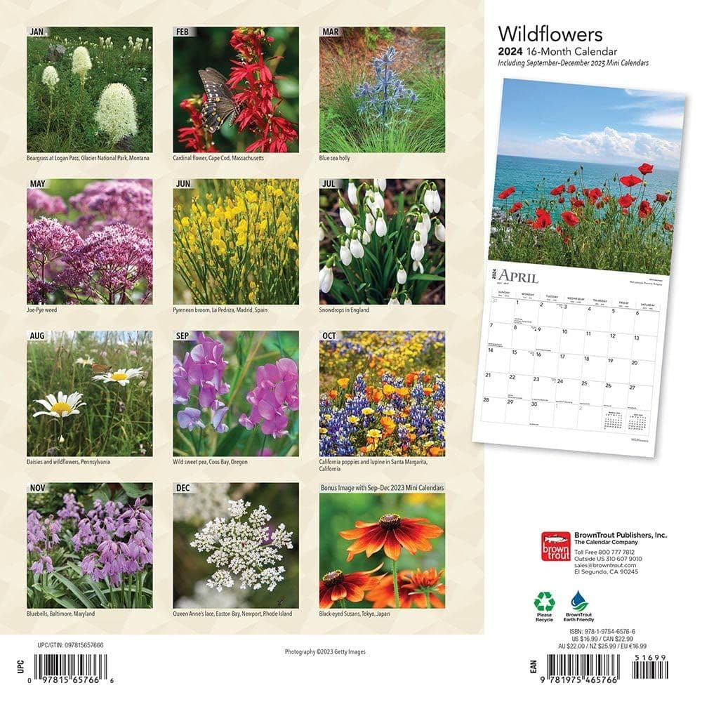 Wildflowers 2024 Wall Calendar First Alternate Image width=&quot;1000&quot; height=&quot;1000&quot;