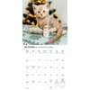 image Kittens 2026 Wall Calendar Fourth Alternate Image