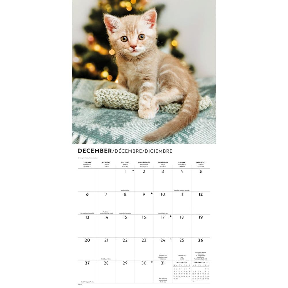 Kittens 2026 Wall Calendar Fourth Alternate Image