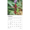 image Hummingbirds 2025 Mini Wall Calendar