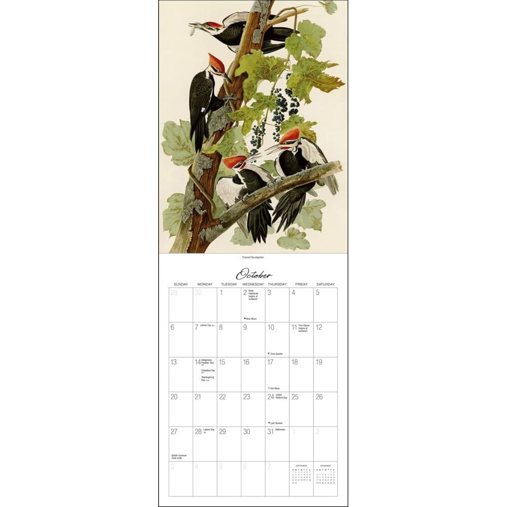 Audubon Birds of America 2024 Wall Calendar Fourth Alternate Image width=&quot;1000&quot; height=&quot;1000&quot;