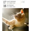 image Cat Gallery 2026 Desk Calendar Fourth Alternate Image