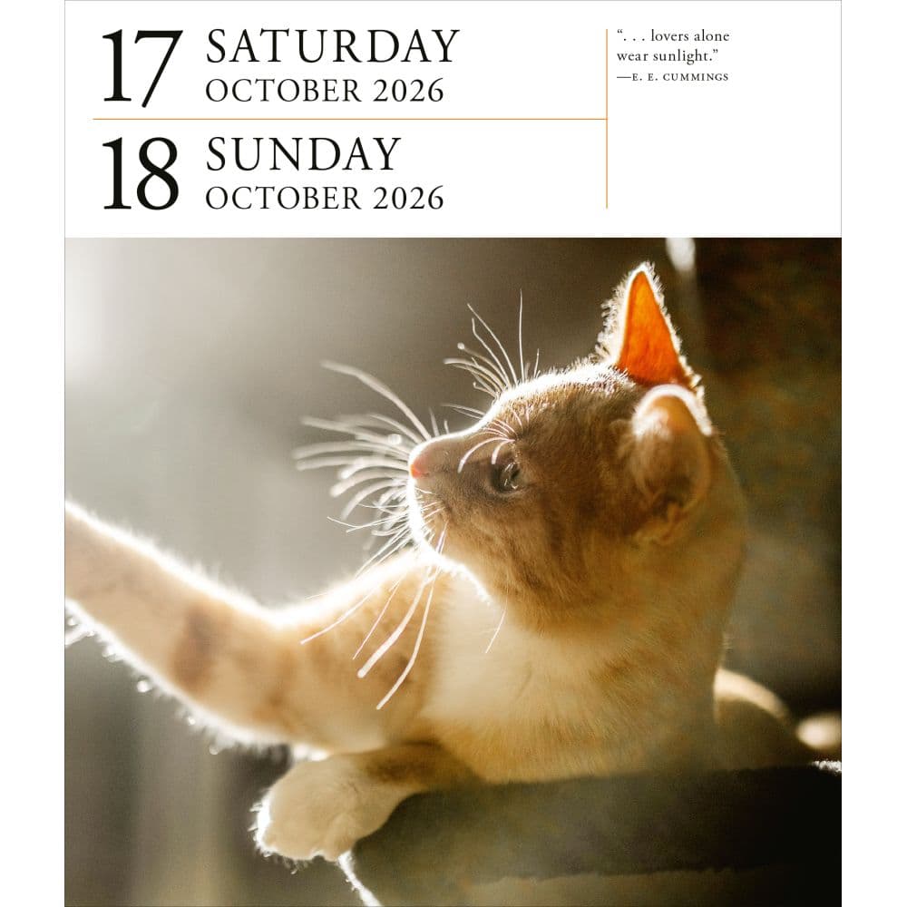Cat Gallery 2026 Desk Calendar Fourth Alternate Image