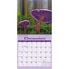 image Mushrooms 2025 Wall Calendar Fourth Alternate Image width=&quot;1000&quot; height=&quot;1000&quot;