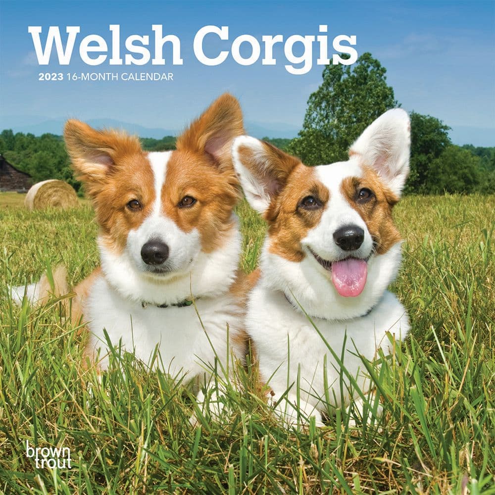 BrownTrout Welsh Corgis 2023 Mini Wall Calendar 7x7
