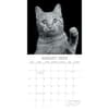image Cat Portraits 2024 Wall Calendar August