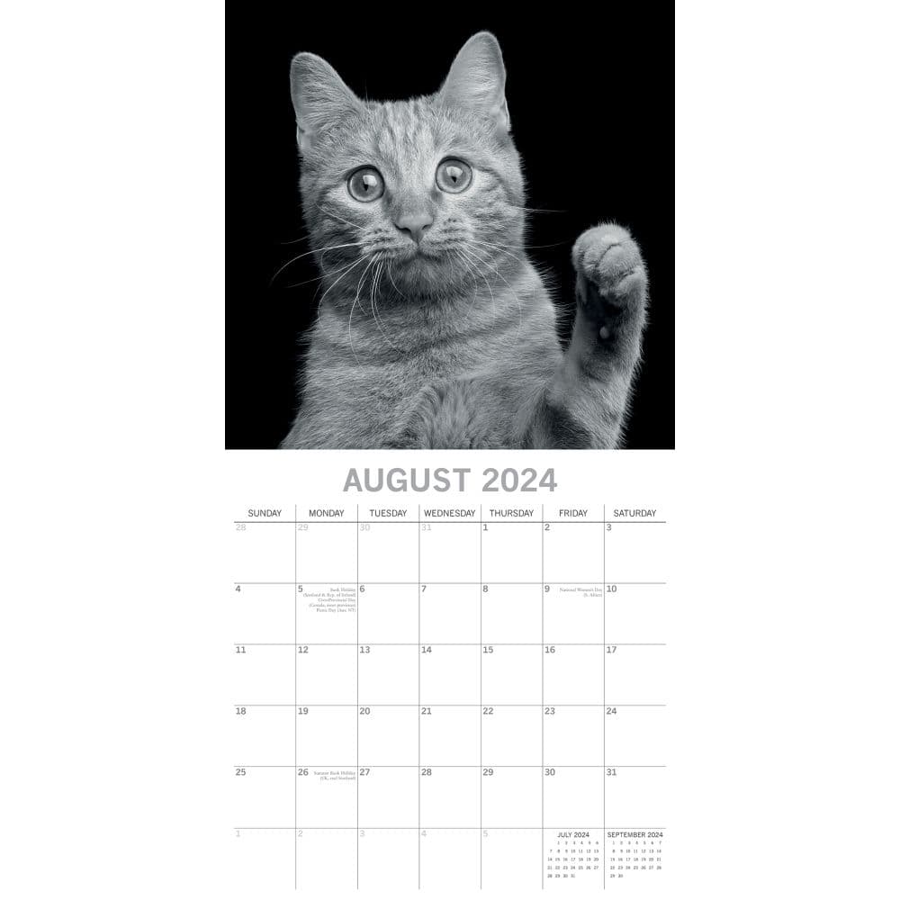 Cat Portraits 2024 Wall Calendar August