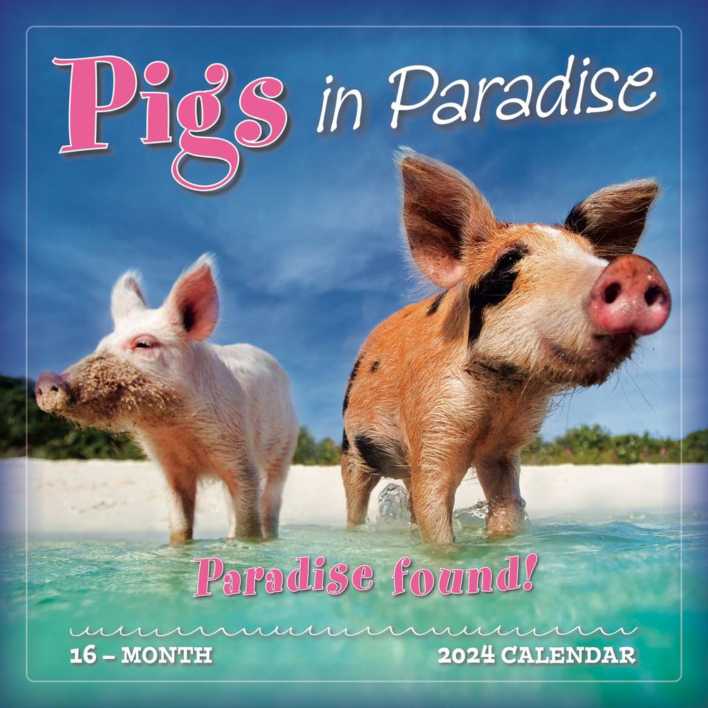 Pigs in Paradise 2024 Wall Calendar Main Image