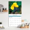 image Butterflies Photo 2027 Wall Calendar