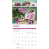 image Hedgehogs 2026 Wall Calendar Second Alternate Image