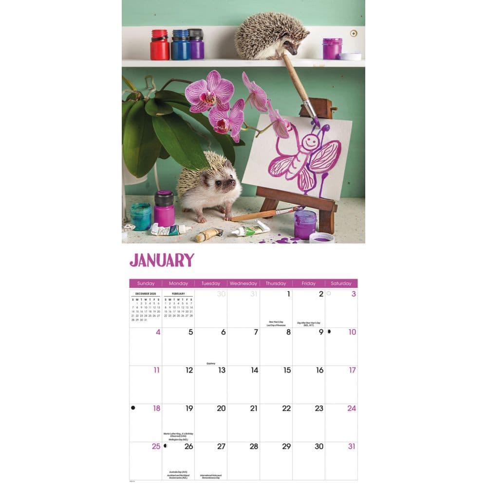 Hedgehogs 2026 Wall Calendar Second Alternate Image