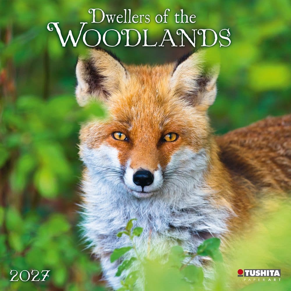 image Dwellers of the Woodlands 2027 Wall Calendar Main Product Image