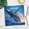 image Whales 2025 Wall Calendar Alt3