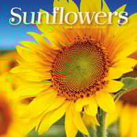 image Sunflowers Special Value 2026 Mini Wall Calendar  Main Image