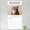 image Corporate Cats 2025 Wall Calendar