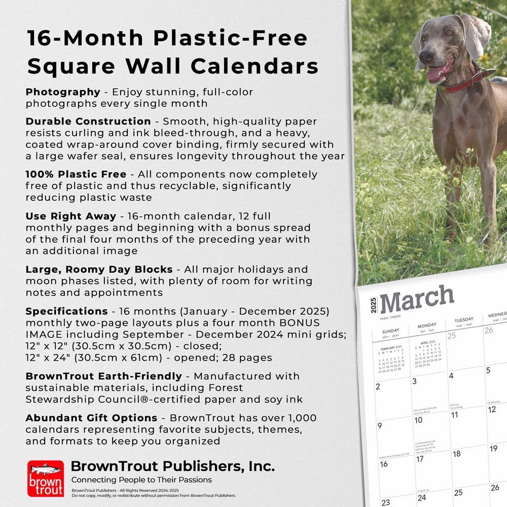 Weimaraners 2025 Wall Calendar Fifth Alternate Image width=&quot;1000&quot; height=&quot;1000&quot;