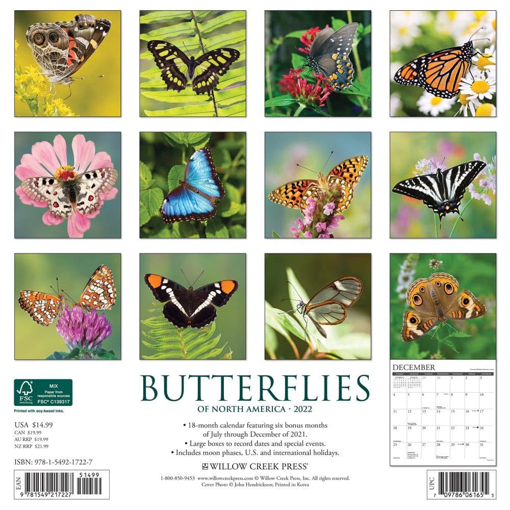 Butterflies 26 Wall Calendar