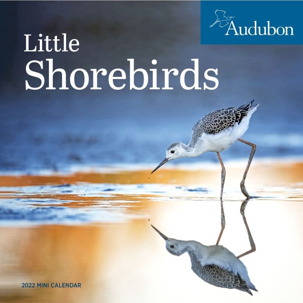 Audubon Little Shorebirds 2022 Mini Wall Calendar