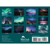 image Starry Night 2026 Wall Calendar First Alternate Image